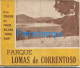 227700 ARGENTINA PARQUE NACIONAL NAHUEL HUAPI PARQUE LOMAS DE CORRENTOSO PLANO & PUBLICITY 46 X 26.5 NO POSTAL POSTCARD - Argentine