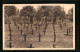 AK Staden, Deutscher Kriegerfriedhof, Kriegsgräber  - Weltkrieg 1914-18