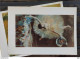 Delcampe - Postcard Edgar Degas Art Painture 30 Units 1989 Very Rare - Other & Unclassified