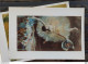 Delcampe - Postcard Edgar Degas Art Painture 30 Units 1989 Very Rare - Andere & Zonder Classificatie