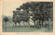 59-HAZEBROUCK-N° 4395-E/0251 - Hazebrouck