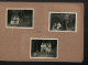 Delcampe - Fotoalbum Mit 50 Fotografien, Ausdruckstanz / Frauen Tanzgruppe 1942, Ruth Von Bullon, Choreografie, Theater  - Albums & Collections