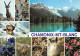 74-CHAMONIX MONT BLANC-N° 4397-A/0259 - Chamonix-Mont-Blanc
