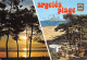 66-ARGELES PLAGE-N° 4397-D/0313 - Argeles Sur Mer