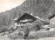 74-MORZINE-N° 4400-A/0075 - Morzine