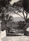 83-SAINT TROPEZ-N° 4401-C/0143 - Saint-Tropez