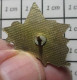 1618c Pin's Pins / Beau Et Rare / AUTRES / PIN'S USA COWBOY FRONTIER LAND - Other & Unclassified