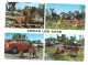 African Lion Safari Zebra Monkey Lion Photo Carte Timbre Ontario 1973 Canada Htje - Löwen