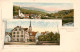 13850554 Nesslau SG Panorama Kirche Hotel Und Pension Zur Traube  - Sonstige & Ohne Zuordnung