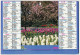 Calendrier Grand Format 1994  OLLER Jardins De Fleurs Aux< Pays Bas  Et Forêt D'automne    Code Postaux Des Principales* - Formato Grande : 1991-00