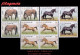 CUBA. BLOQUES DE CUATRO. 2005-29 FAUNA. CABALLOS DE RAZA - Unused Stamps