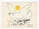 Postal Picasso, Paloma, El Mundo Sin Armas 1962. Impresa En Francia, Matasellos Glasgow 1973 - Pintura & Cuadros