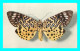 A806 / 487 PAPILLONS MOOREA ARGUS Comité National De L'Enfance - Butterflies