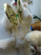 Delcampe - Lot De 6 Automates Peluches West Germany Ours Tricoteur Musicien Lapin Chat Jouet Enfant - Peluches