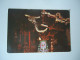 SINGAPORE POSTCARDS  SNAKE TEMPLE  PENANG  FOR MORE PURCHASES 10% DISCOUNT - Singapour