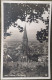 1932.Freiburg I. Br. - Freiburg I. Br.