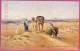 Ag2777 - EGYPT - VINTAGE POSTCARD - Helwan, The Desert - Altri & Non Classificati