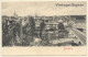 Bietigheim / Germany: Total View View (Vintage PC 1906) - Bietigheim-Bissingen