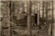 Blockhaus In Den Vogesen - Feldpost - Guerra 1914-18