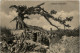 Artillerie Unterstand - Feldpost - Weltkrieg 1914-18