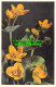 R498691 Marsh Marigold. Stehli. No. 754 - World