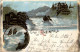 Gruss Vom Rheinfall - Litho - Neuhausen Am Rheinfall