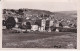 48 LANGOGNE - Vue Générale - Le Pré De La Foire Et Le Pont Neuf - Langogne