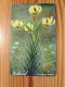 Phonecard Andorra - Flower - Andorra