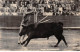 Espagne.SAN58907.Madrid.Corrida.Arruza Banderilleando - Madrid