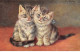 Animaux - N°85524 - Chat - M. Stacks - Deux Chatons - Cats