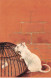 Animaux - N°85585 - Rat Regardant Un Morceau De Fromage Dans Une Cage - Carte Gaufrée - Other & Unclassified