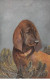 Animaux - N°85575 - Chien Avec Une Branche De Sapin - Hunde