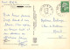 20 - SAN61533 - CARGESE - L'Avenue Centrale - La Cigogne - CPSM 10x15 Cm - Autres & Non Classés