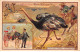 Publicité - N°86517 - Souvenir Belle Jardinière Paris - L'Autruche (Les Grandes Chasses) - Carte Pliée Vendue En L'état - Werbepostkarten