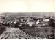 89 - SAN62312 - SENNEVOY LE HAUT - Vue Générale Et Panorama - Combier - CPSM 10x15 Cm - Otros & Sin Clasificación