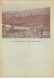 Scoutisme - N°89177 - Féd. Nat. Des Eclaireurs Du Luxembourg - Sur Les Bords De La Sûre (Bigonville) - Scoutisme