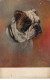 Animaux - N°90244 - Chiens D'Angleterre - Bouledogue - Dogs