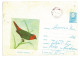 IP 65 A - 0191-a BIRD, Romania - Stationery - Used - 1965 - Ganzsachen