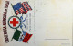 ITALY - WW1 – WWI Posta Militare 1915-1918 - Franchigia ILLUSTRATA (AGIAB) - S8080 - Poste Militaire (PM)