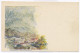 RO 84 - 4448 BAILE HERCULANE, Litho, Panorama - Old Postcard - Used - 1897 - Rumänien