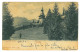 RO 84 - 22773 SINAIA, Peles Castle, Litho, Romania - Old Postcard - Used - 1900 - Rumänien