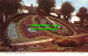 R504502 Weston Super Mare. Floral Clock. Jarrold. Cotman Color. RP - World