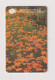 ROMANIA -  Flowers Chip  Phonecard - Roumanie