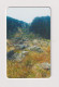 ROMANIA -  Forest Scenes Chip  Phonecard - Rumania