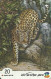 Israel: Bezeq - 402F Animals Of The Bible, Leopard - Israele