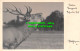 R504657 Deer. Will Jungmeier. Postcard - World