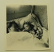 A Little Girl And A Woman Are Sleeping Sweetly In Bed - Personnes Anonymes