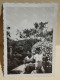 France Photo Persons MENTON 1935 - Europa