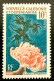 1959 NOUVELLE CALEDONIE N 293 GLAUCUS ET SPIROGRAPHE - NEUF* - Ongebruikt