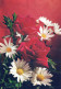 FLOWERS Vintage Postcard CPSM #PAS119.A - Flowers